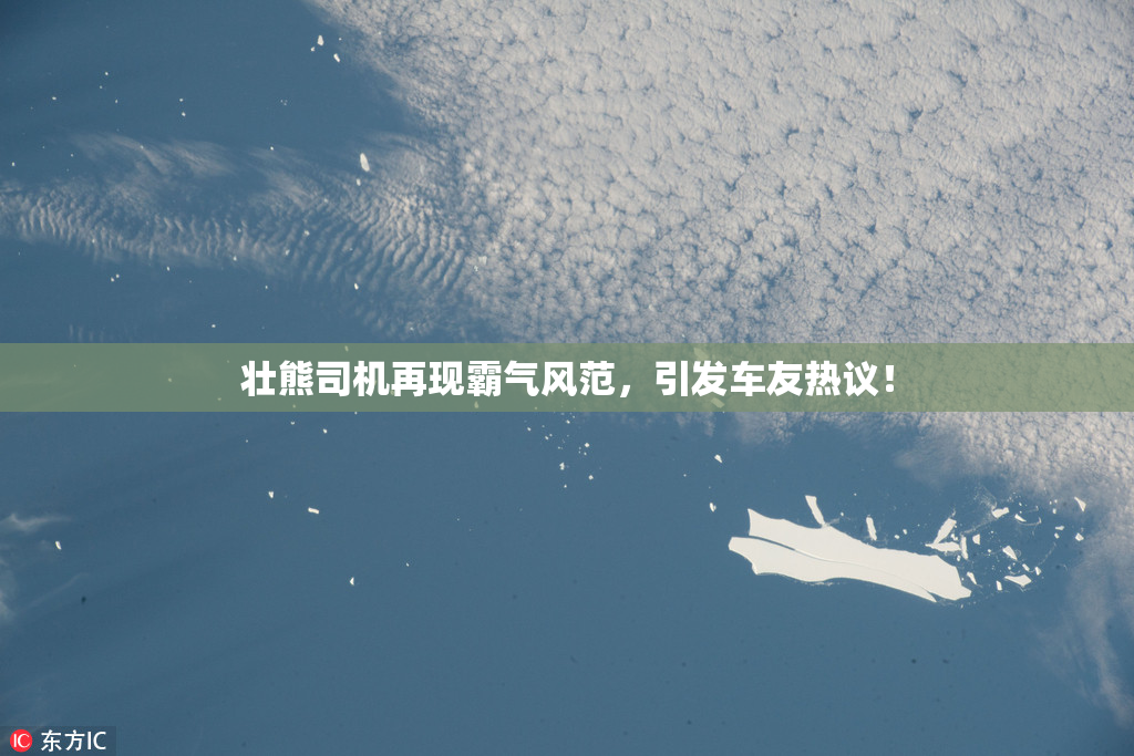 壮熊司机再现霸气风范，引发车友热议！