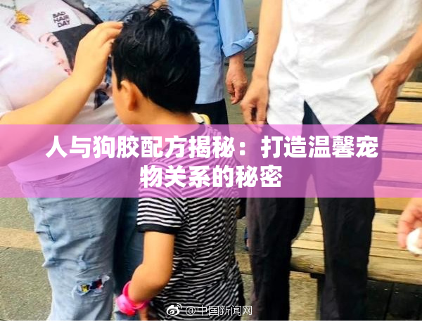 人与狗胶配方揭秘：打造温馨宠物关系的秘密