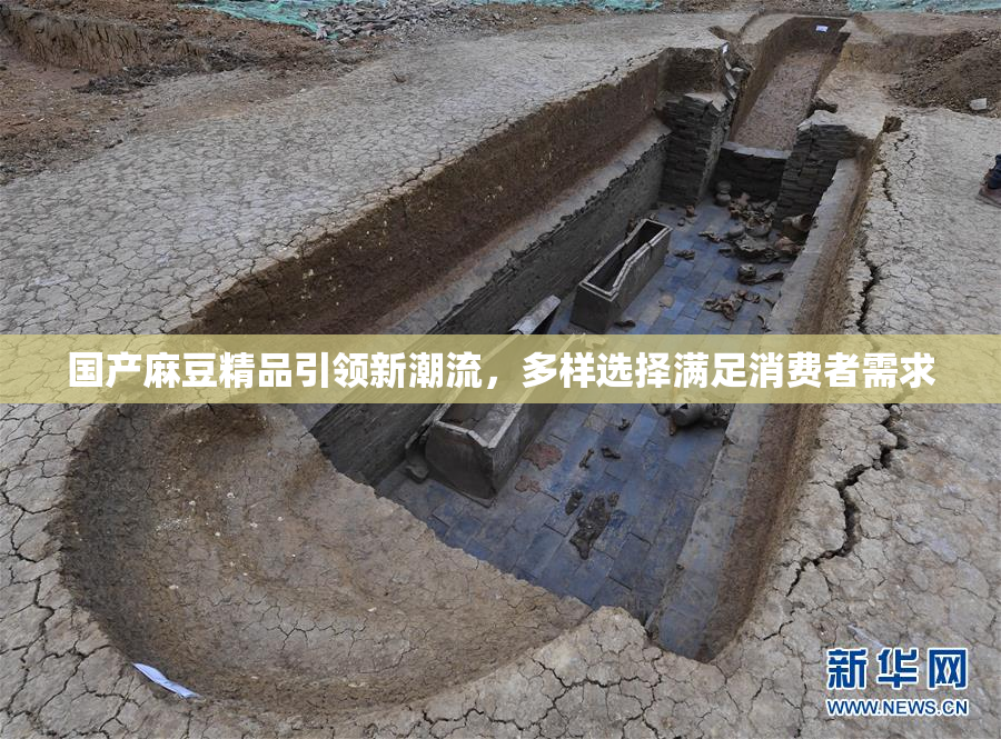 国产麻豆精品引领新潮流，多样选择满足消费者需求