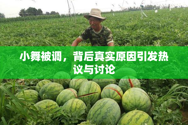 小舞被调，背后真实原因引发热议与讨论