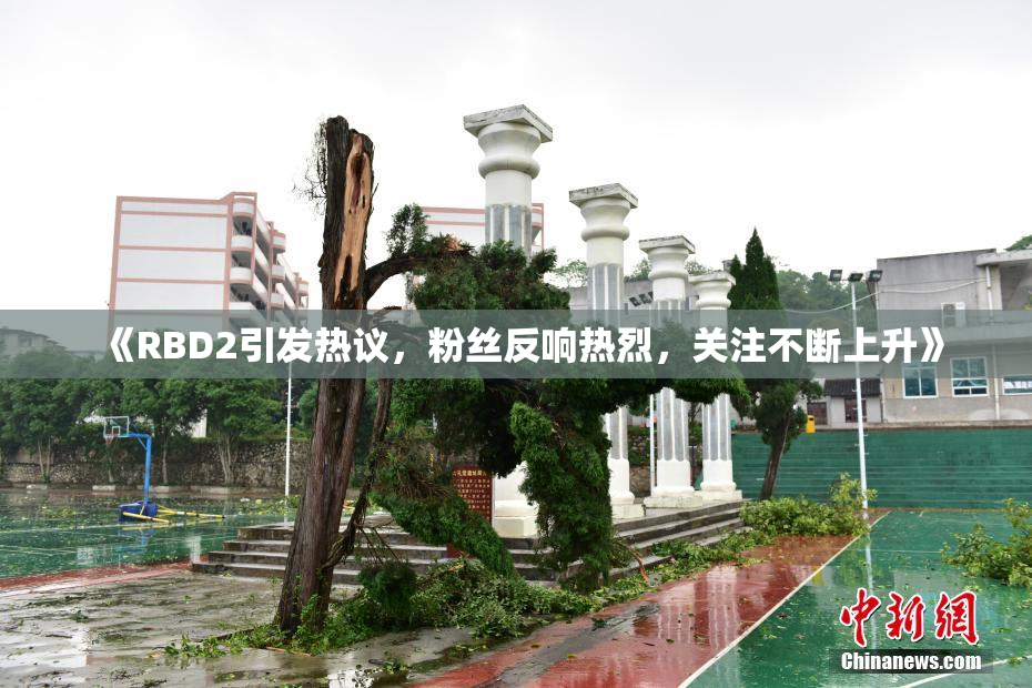 《RBD2引发热议，粉丝反响热烈，关注不断上升》