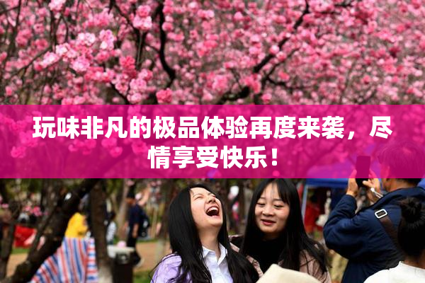 玩味非凡的极品体验再度来袭，尽情享受快乐！