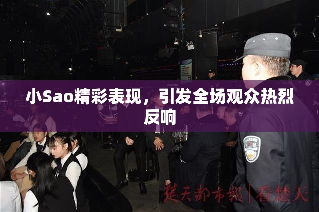 小Sao精彩表现，引发全场观众热烈反响