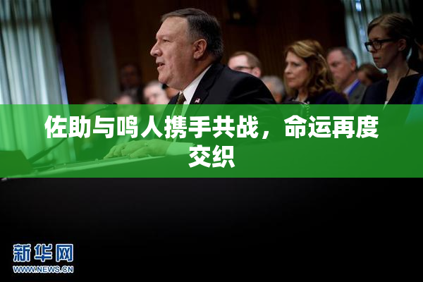佐助与鸣人携手共战，命运再度交织