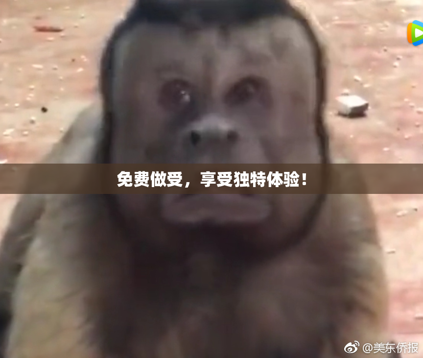 免费做受，享受独特体验！