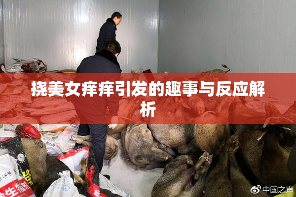 挠美女痒痒引发的趣事与反应解析