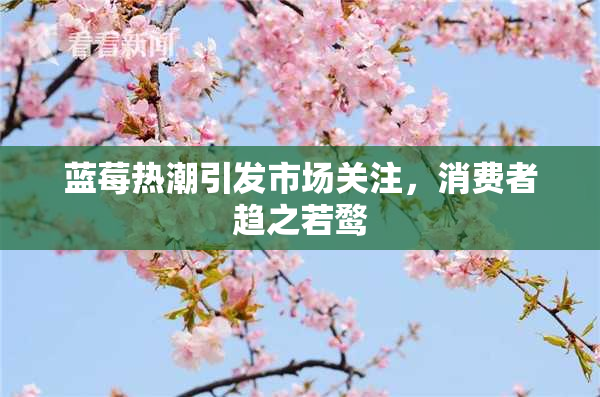 蓝莓热潮引发市场关注，消费者趋之若鹜