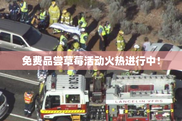 免费品尝草莓活动火热进行中！
