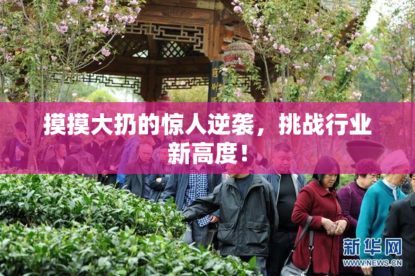 摸摸大扔的惊人逆袭，挑战行业新高度！