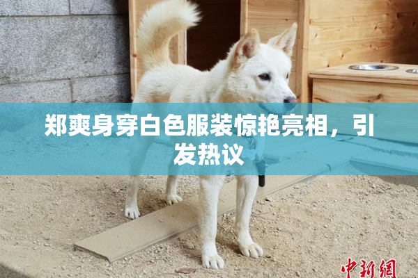 郑爽身穿白色服装惊艳亮相，引发热议