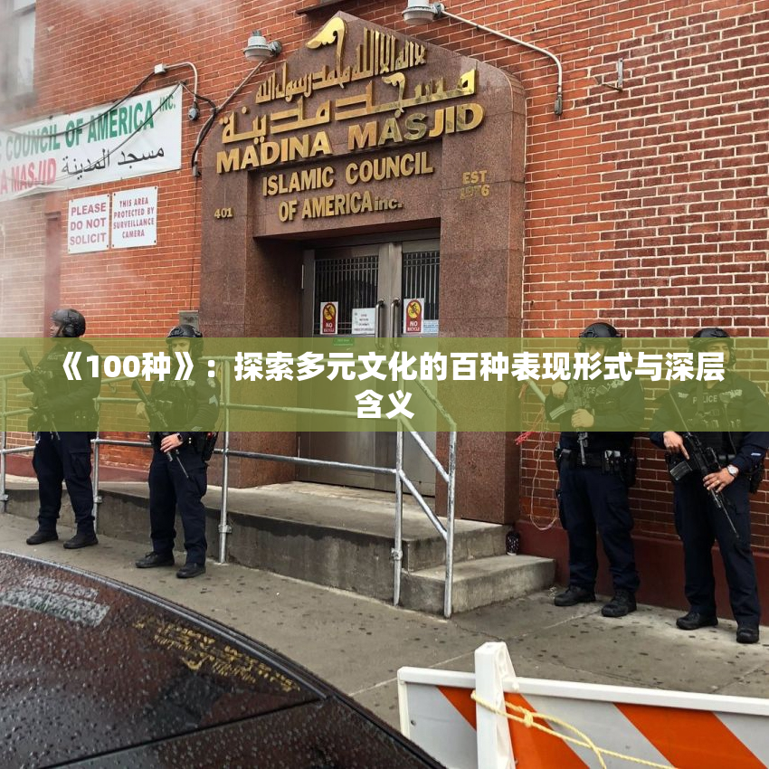 《100种》：探索多元文化的百种表现形式与深层含义