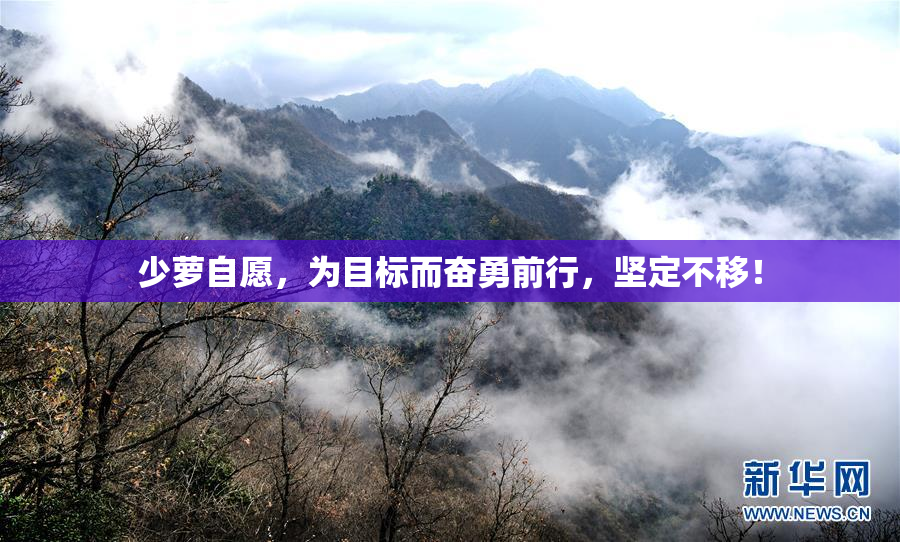 少萝自愿，为目标而奋勇前行，坚定不移！