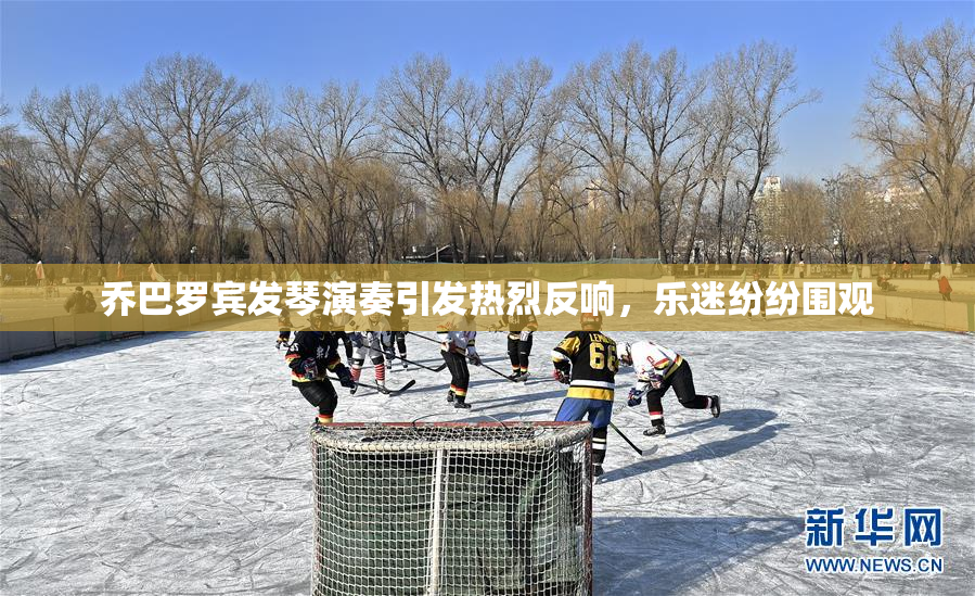 乔巴罗宾发琴演奏引发热烈反响，乐迷纷纷围观