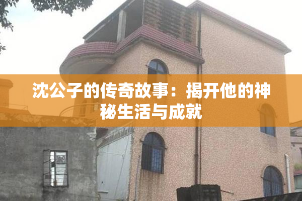 沈公子的传奇故事：揭开他的神秘生活与成就
