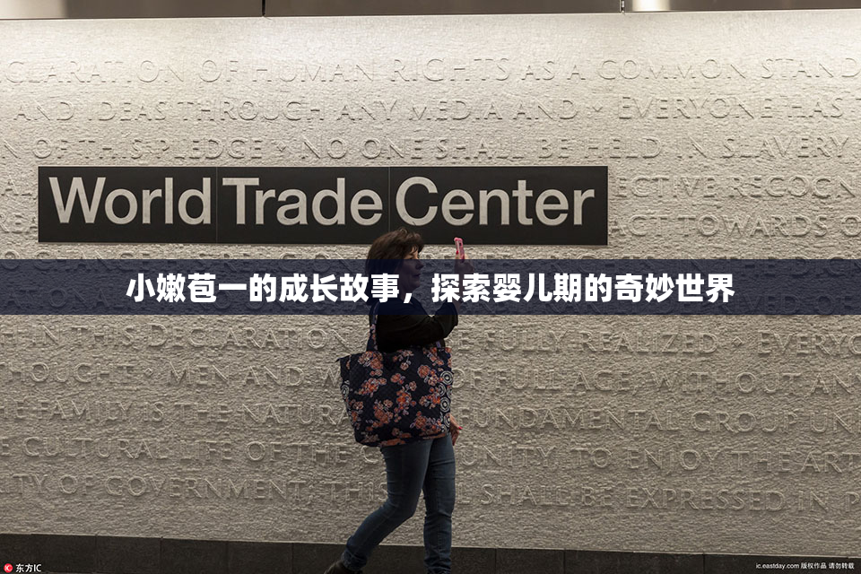 小嫩苞一的成长故事，探索婴儿期的奇妙世界