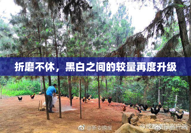 折磨不休，黑白之间的较量再度升级