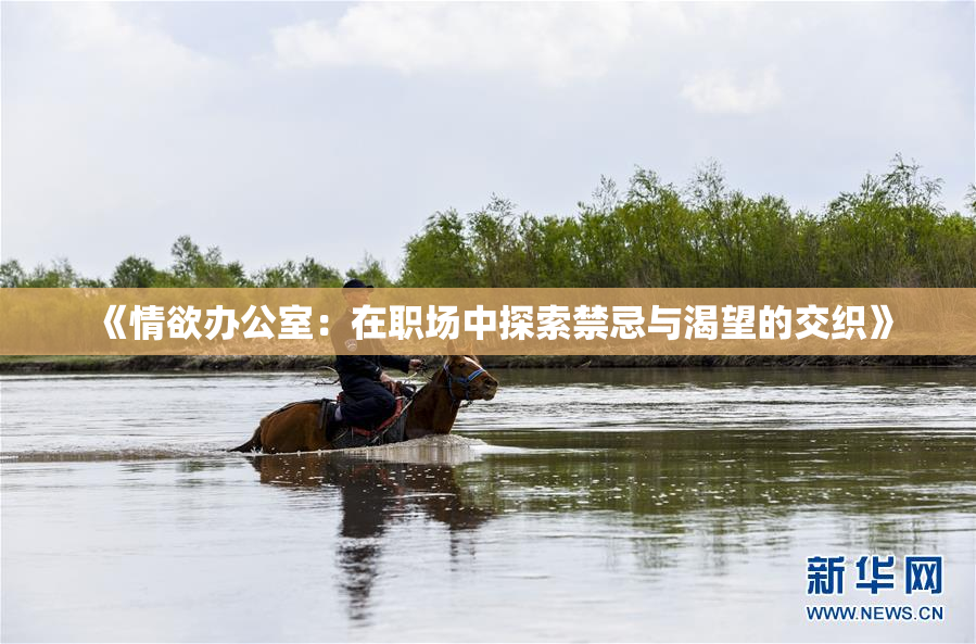《情欲办公室：在职场中探索禁忌与渴望的交织》
