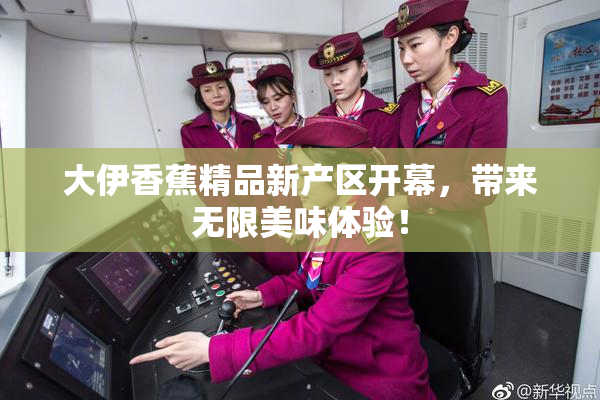 大伊香蕉精品新产区开幕，带来无限美味体验！