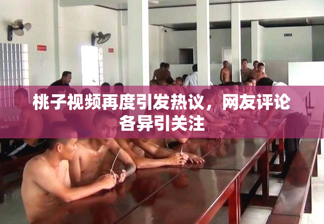 桃子视频再度引发热议，网友评论各异引关注
