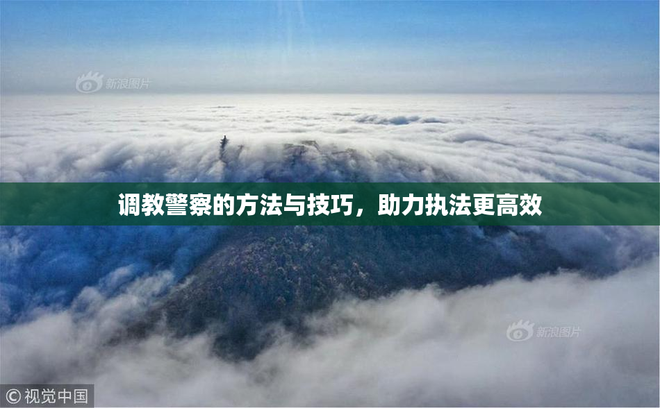 调教警察的方法与技巧，助力执法更高效