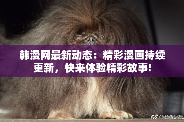 韩漫网最新动态：精彩漫画持续更新，快来体验精彩故事!