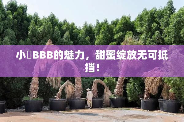 小槡BBB的魅力，甜蜜绽放无可抵挡！
