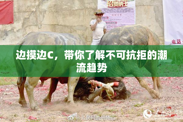 边摸边C，带你了解不可抗拒的潮流趋势