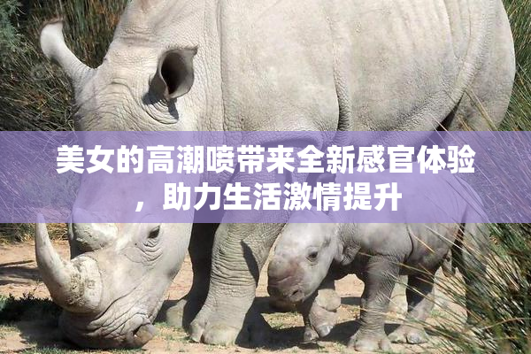 美女的高潮喷带来全新感官体验，助力生活激情提升