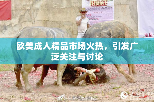 欧美成人精品市场火热，引发广泛关注与讨论