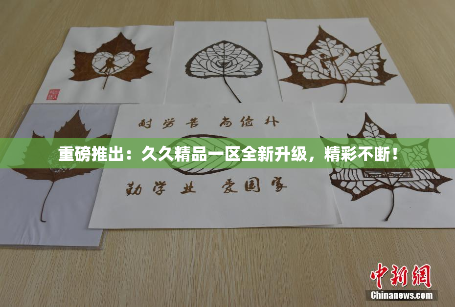重磅推出：久久精品一区全新升级，精彩不断！