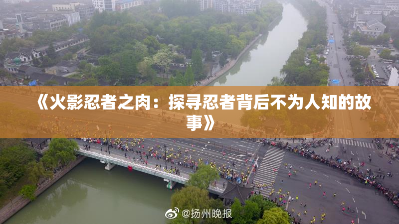 《火影忍者之肉：探寻忍者背后不为人知的故事》