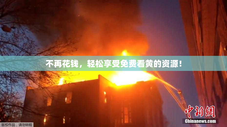 不再花钱，轻松享受免费看黄的资源！