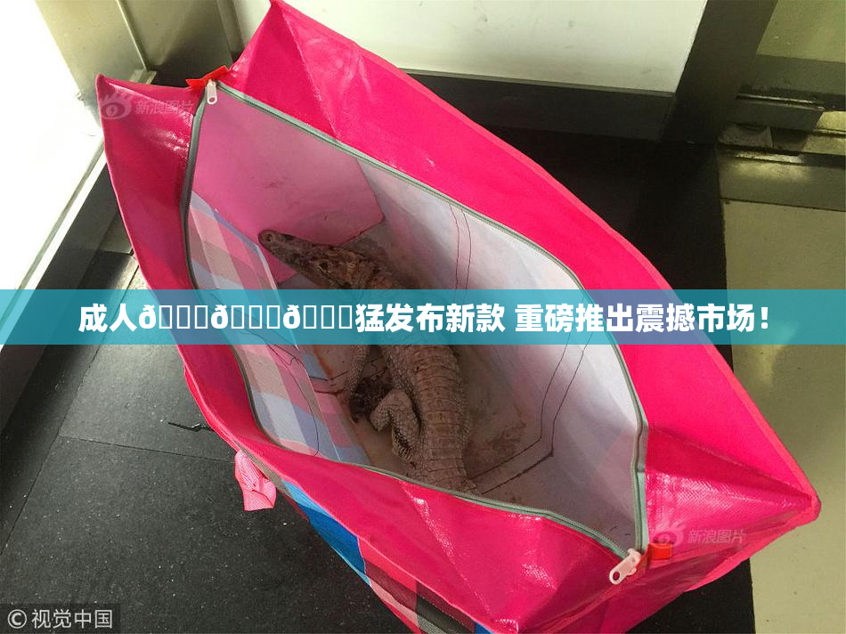 成人🍆🍑🔞猛发布新款 重磅推出震撼市场！