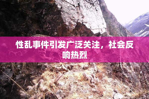 性乱事件引发广泛关注，社会反响热烈