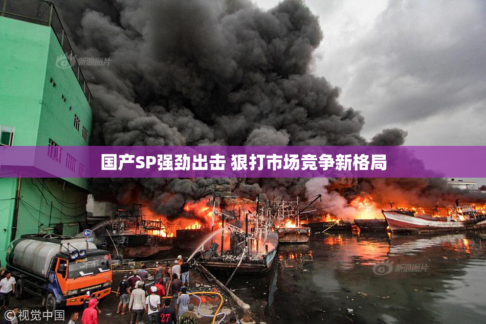 国产SP强劲出击 狠打市场竞争新格局