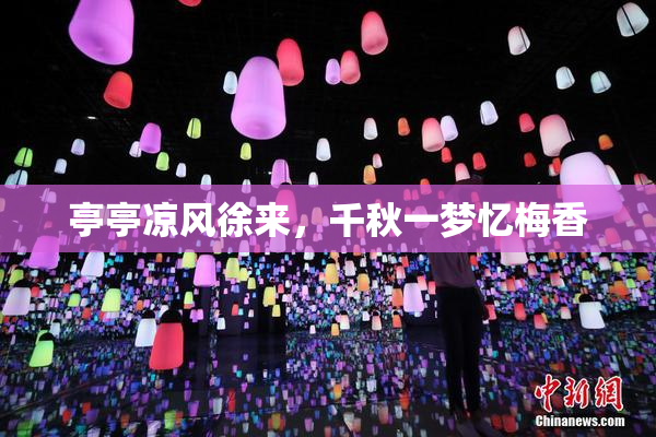 亭亭凉风徐来，千秋一梦忆梅香