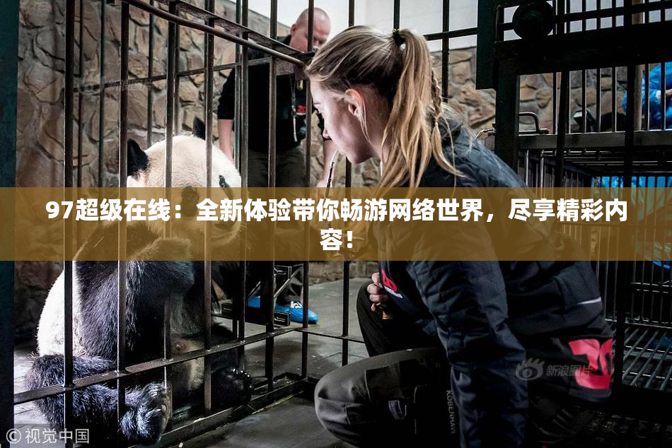 97超级在线：全新体验带你畅游网络世界，尽享精彩内容！