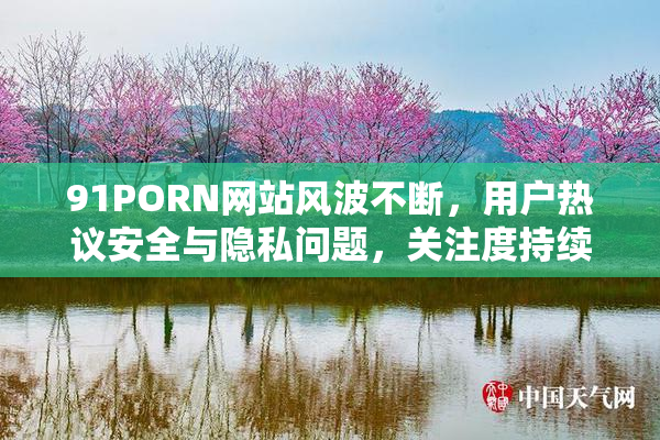 91PORN网站风波不断，用户热议安全与隐私问题，关注度持续上升。