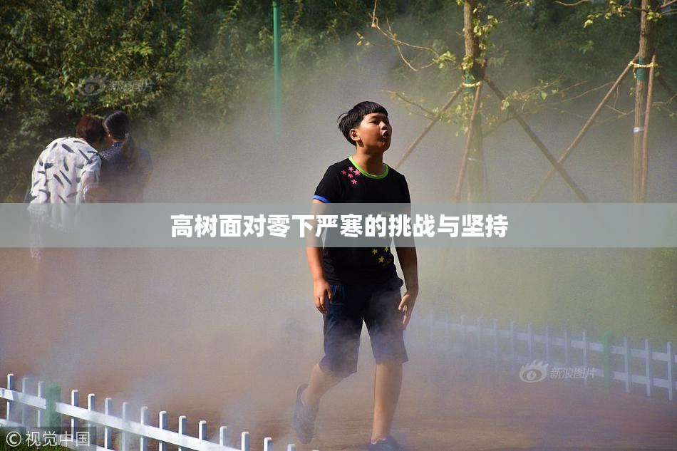 高树面对零下严寒的挑战与坚持