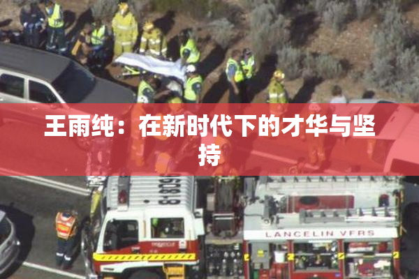 王雨纯：在新时代下的才华与坚持
