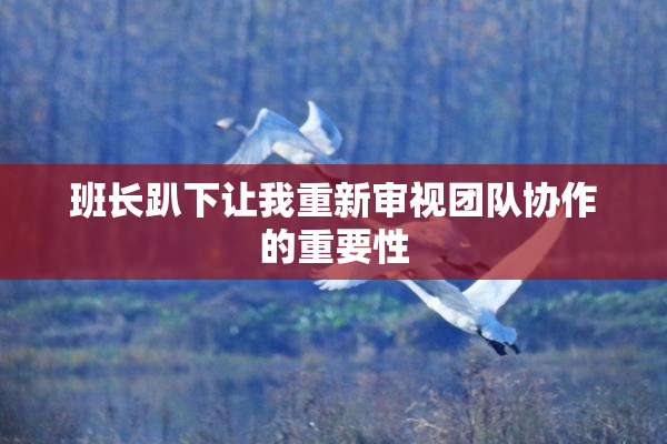 班长趴下让我重新审视团队协作的重要性