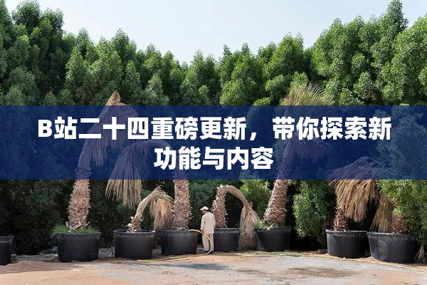 B站二十四重磅更新，带你探索新功能与内容