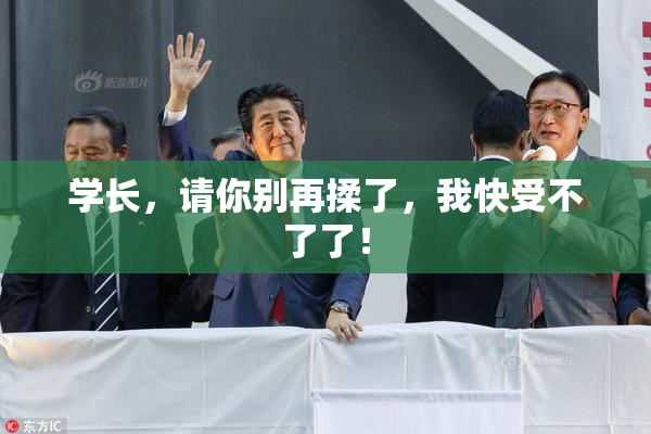 学长，请你别再揉了，我快受不了了！