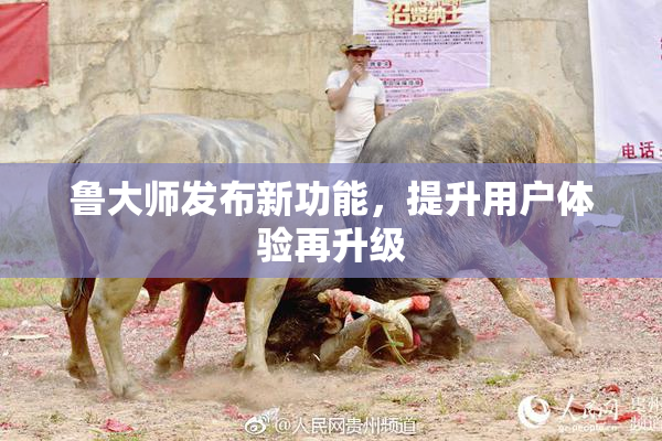 鲁大师发布新功能，提升用户体验再升级