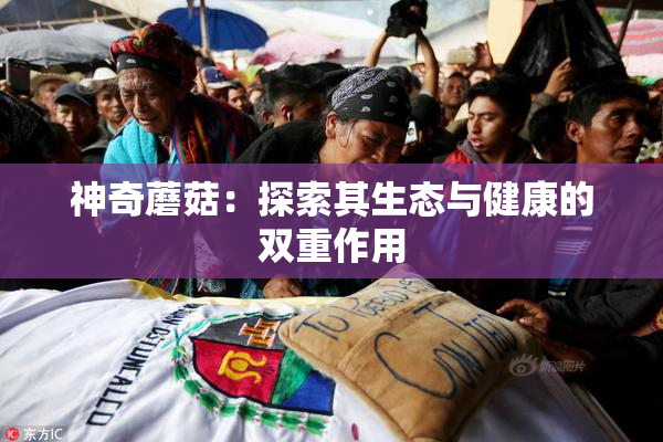 神奇蘑菇：探索其生态与健康的双重作用