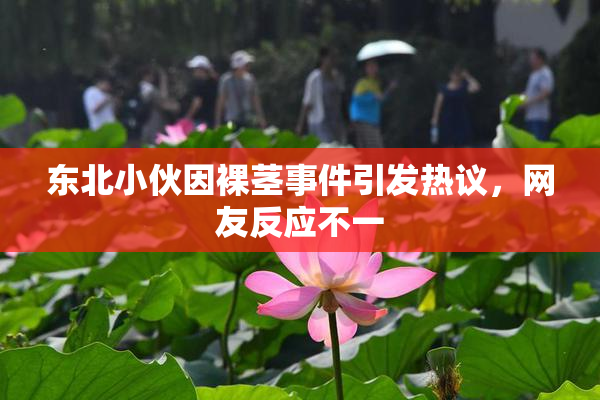 东北小伙因裸茎事件引发热议，网友反应不一