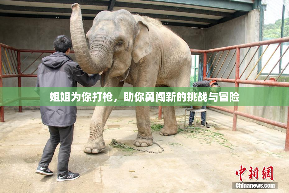 姐姐为你打枪，助你勇闯新的挑战与冒险