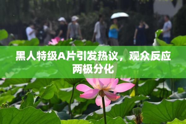 黑人特级A片引发热议，观众反应两极分化