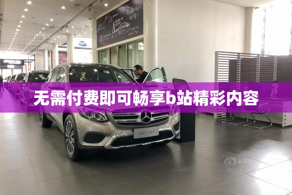 无需付费即可畅享b站精彩内容