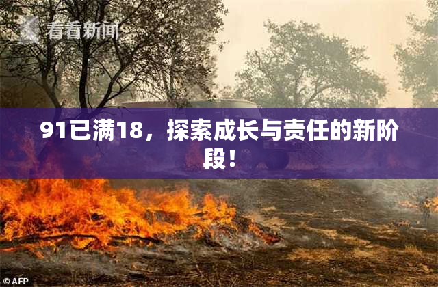 91已满18，探索成长与责任的新阶段！